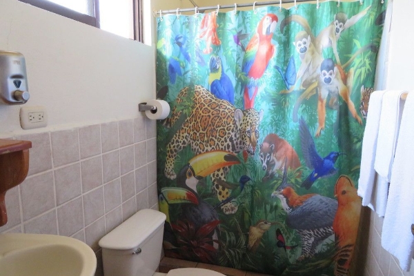 Hotel Cabinas Diversion Tropical